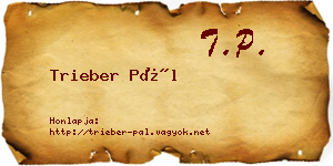 Trieber Pál névjegykártya