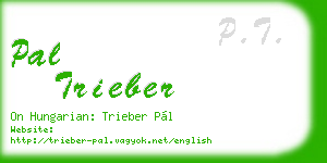 pal trieber business card
