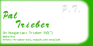 pal trieber business card